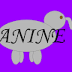 Meet your Posher, Janine